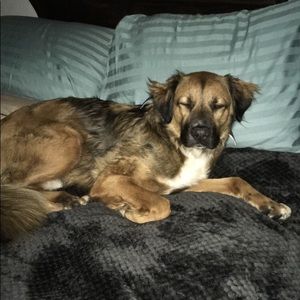 Meet your Posher, Ben